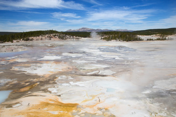 Norris geyser basin