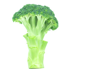 Broccoli isolated on white background.