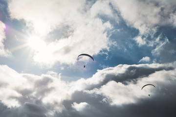 Never regret thy fall