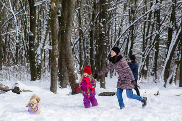 Fototapeta na wymiar Family run in snow after their dog with purple toy