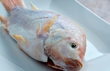 Prepare the Nile tiapia for cook