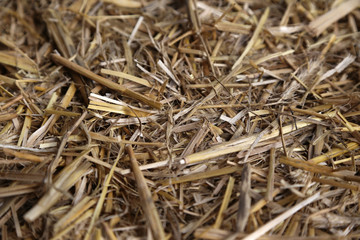 Stroh f&uuml;r Pferde auf einem Ponyhof