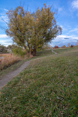 Empty walking path