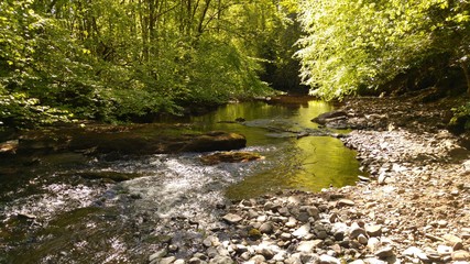 Mountain stream in scottish mountains