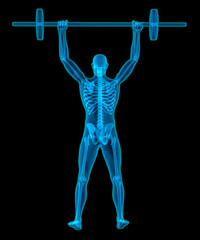 Very detailed and medically accurate 3D Illustration of a translucent man lifting weights