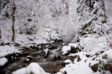 Gefrorener Bach in den Vogesen