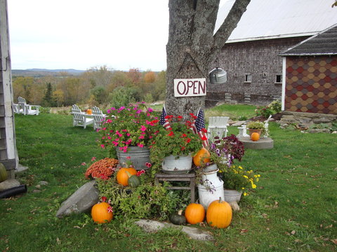 Fall Decorations With Flowers And Pumpkins