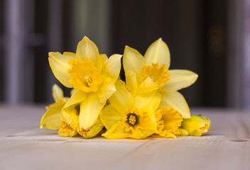 Beautiful bouquet of yellow narcissus flowers.