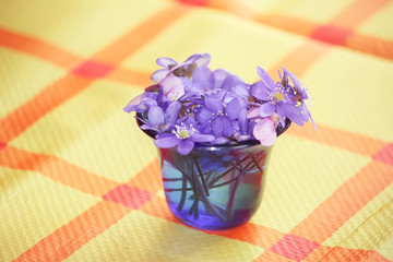 Spring purple wildflowers