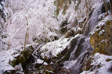 Fototapeta na wymiar Wasserfall in Le Hohwald im Elsass