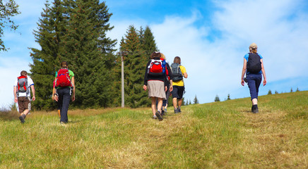 Fototapeta premium Group of tourists walking on the meadow