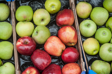 pommes rouges et vertes au marché