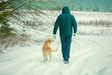 A man with a Labrador retriever dog walks along a rural road covered with snow in winter back to camera