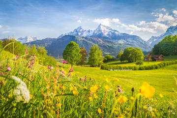 Crédence de cuisine en verre imprimé Printemps Paysage de montagne idyllique dans les Alpes avec des prairies fleuries au printemps