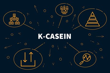 Business illustration showing the concept of k-casein