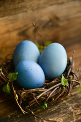Easter decor, background: painted eggs of blue color in a decorative nest with branches of greenery, the concept of the spring festival, the arrival of spring. The layout for your text.