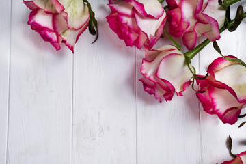 Roses frame on wooden white background