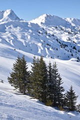 Fototapeta na wymiar Pics enneigés de l'Oberland bernois en Suisse