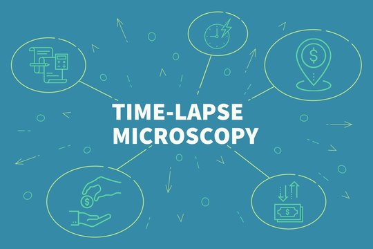 Business illustration showing the concept of time-lapse microscopy