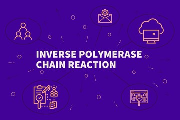Business illustration showing the concept of inverse polymerase chain reaction