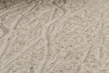 Verschiedene Spuren im Sand