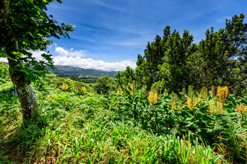 Landschaft auf den Azoren Sao Miguel