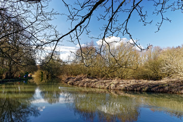 Obraz premium walk along Stort river