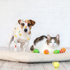 Dog and cat with easter eggs