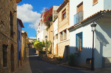 Fototapeta na wymiar Small european village street under the sun with flowers