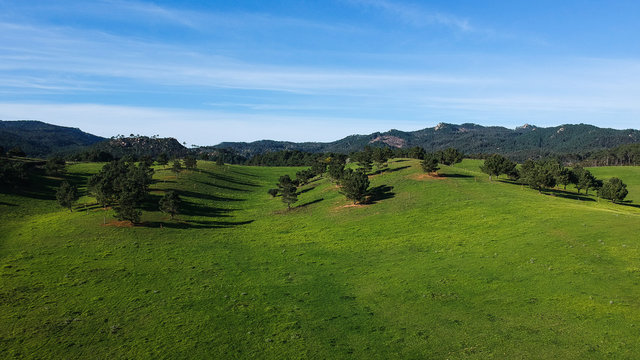 Fototapeta Aerial view from a green field with trees and a mountain in background
