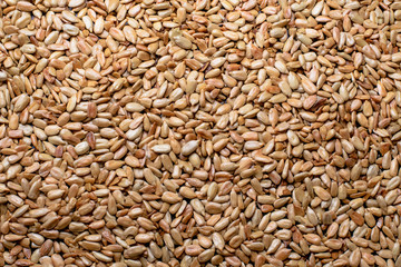 The texture of roasted sunflower seeds. Roasted sunflower seeds background