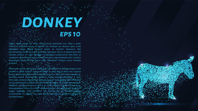 The donkey is made up of particles. The donkey consists of dots and circles. Blue donkey on a dark background