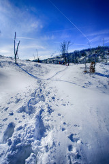 Gorski kotar winter landscape