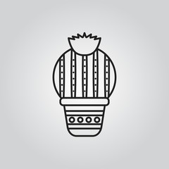 Cactus icon