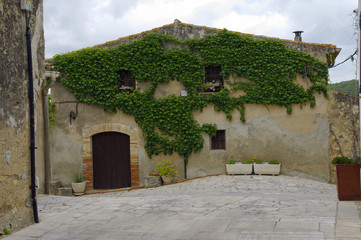Fototapeta na wymiar Old stone house overgrown with green vines. Catalonia, Spain