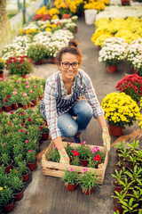 Hardworking smiling cute florist female worker crouching and putting flowers and pots into the wooden box while looking at the camera.