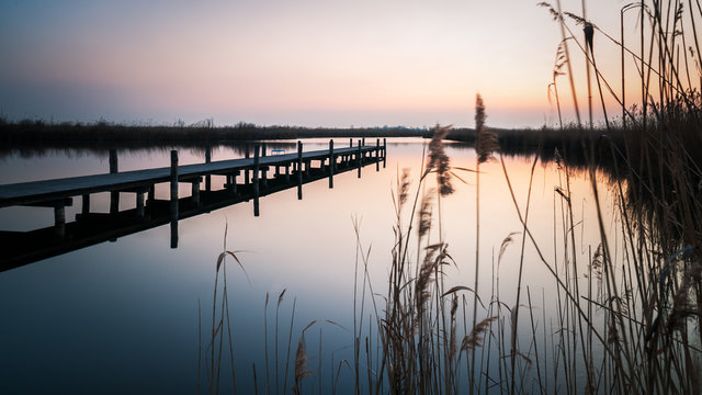 Steg und Schilf am Morgen am Neusiedlersee © Ewald Fröch