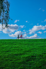 People are walking in the park in Hamburg, Germany