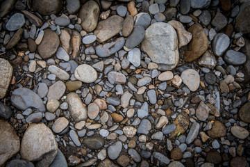 Smooth River Rocks on Bank Texture