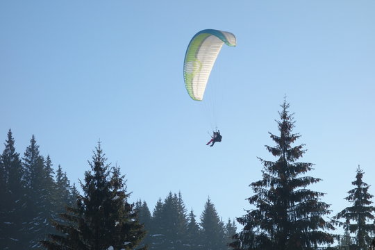Two people flying in tandem by glider over spruce trees in winter