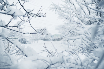 2985047 Winter snowfall in the village. Snowy collapse
