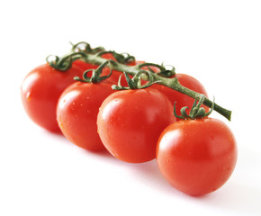Tomatoes on the vine