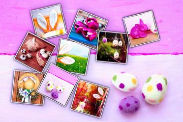 photos of easter bunny on purple background