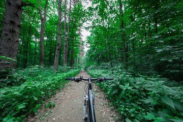 Mountain biking down hill descending fast on bicycle. View from bikers eyes.