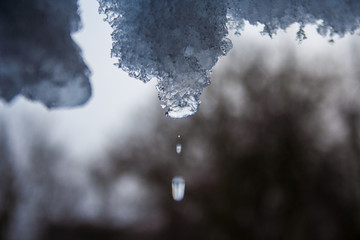 A drop of water falling from an icicle