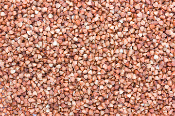 Buckwheat groats close-up. Pile of buckwheat groats, top view.