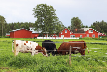 Countryside © Risto