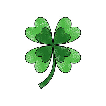 four leaf clover good luck symbol vector illustration drawing image