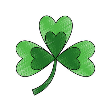 clover with three leafs natural emblem vector illustration drawing image
