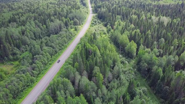 Aerial view of a road in autumn surrounded by pine tree forest. Clip. Top view of the road in the forest